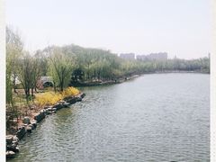 -大兴滨河森林公园