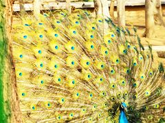 -济南野生动物世界