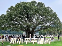 -深圳仙湖植物园