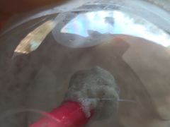 -DQ·蛋糕·冰淇淋(河东万达店)