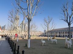 -天津五大道文化旅游区