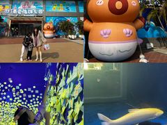 -顺德南宏海立方海洋公园