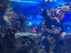 -多彩贵州城极地海洋世界