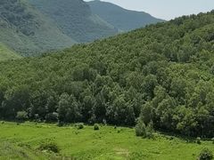 -灵山