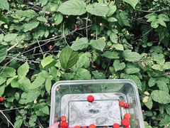 -杭州半山国家森林公园