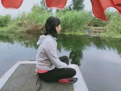 -白洋淀景区