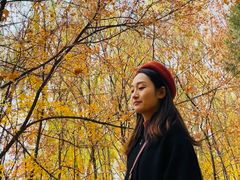 -森林公园(尖草坪区)