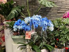 -豆豆花艺(新光天地店)