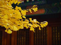 -承恩寺