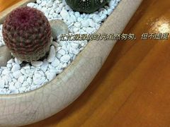 -威固车膜世家·汽车贴膜·隐形车衣·汽车改色·太阳膜(碧桂园店)
