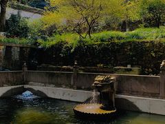 -宁波市保国寺古建筑博物馆