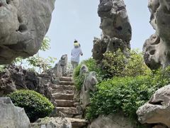 -上海鲜花港