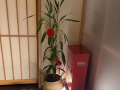 -梅间堂茶馆(绿地缤纷城店)