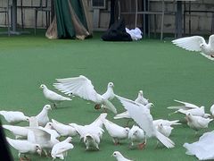 -华谊兄弟（长沙）电影小镇