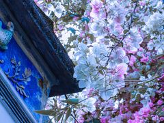 -深圳国际园林花卉博览园