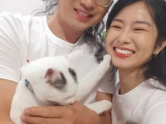 -杏花堂·山西菜馆(晋中万达店)