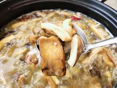 野山菌火锅-马帮菜馆·美味野生菌