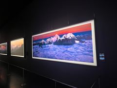 -罗红摄影艺术馆