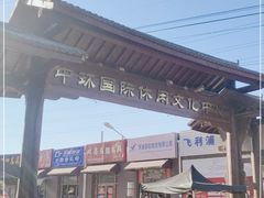 -中环花鸟鱼虫市场