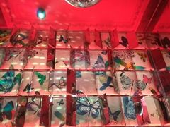 -百威KTV(恒福路店)