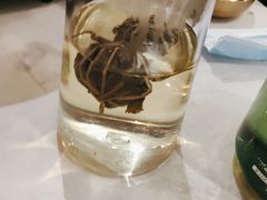 -香香海南菜餐厅