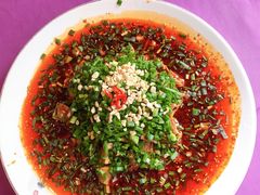 麻婆椒香口水鸡-陈麻婆豆腐(春熙店)