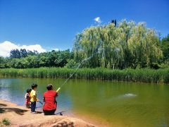 -大兴滨河森林公园