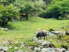 -硗碛藏寨·神木垒景区