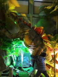 -恐龙探索乐园(磁器口店)