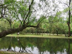 -上海共青森林公园