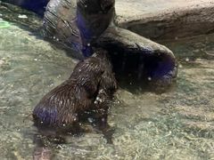 -重庆欢乐海底世界