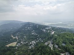 -南山植物园