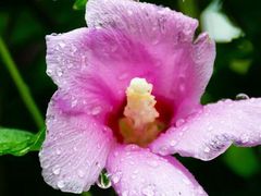 -长辛店二七公园