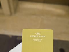 -成都保利公园皇冠假日酒店(熊猫基地店)