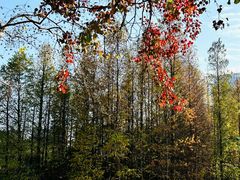 -艾溪湖湿地公园