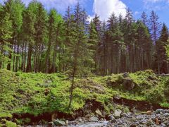 -硗碛藏寨·神木垒景区