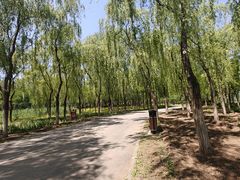 -东郊湿地公园