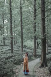 -八角古风摄影