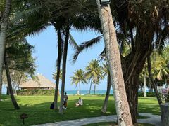 -海南清水湾莱佛士酒店