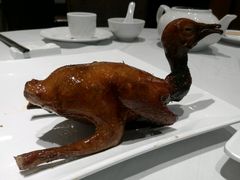 picture-稻香酒家·33年老字号·港式粤菜(富邦中心店)