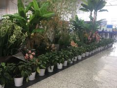 -温州龙湾国际机场