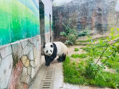 -青藏高原野生动物园