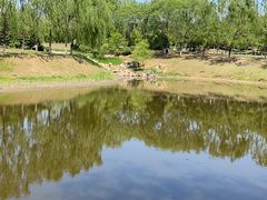 -莫子山公园