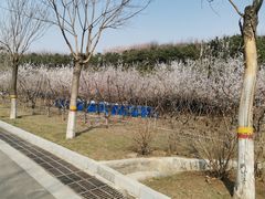 -河北省园博园