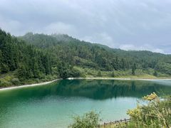 -武陵山森林公园