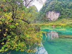 -靖西鹅泉风景区