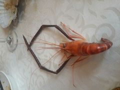 android_upload_pic-御满江海鲜酒家(洛溪新城店)