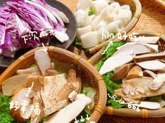 -滇野云南野生菌餐厅(陕西南路店)