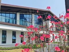 -后襄河公园