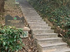 -南京市江宁方山